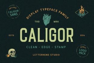 Caligor: A Stylish Display Font for Web Design and Digital Branding