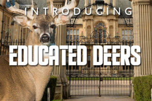 Educated Deers: A Bold Display Font for Impactful Design