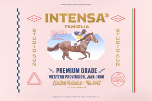 Intensa Family: A Vintage Display Font for Brands