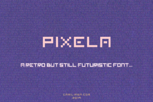 Pixela: A Cool Display Font for Creative Business Branding